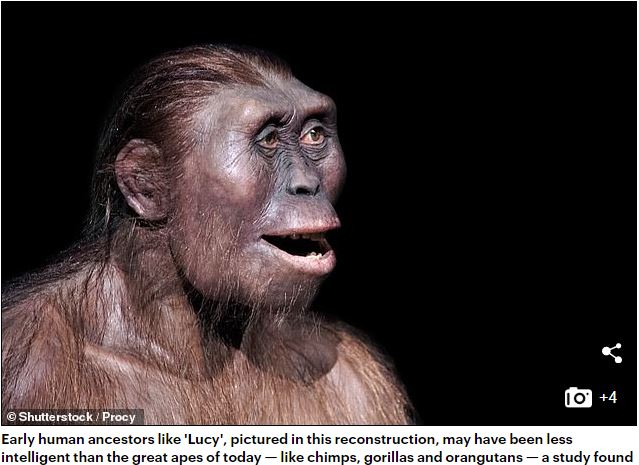人類の祖先 ルーシー は実は現代のサルやゴリラよりもバカだった リアル 猿の惑星 あり得る研究結果に