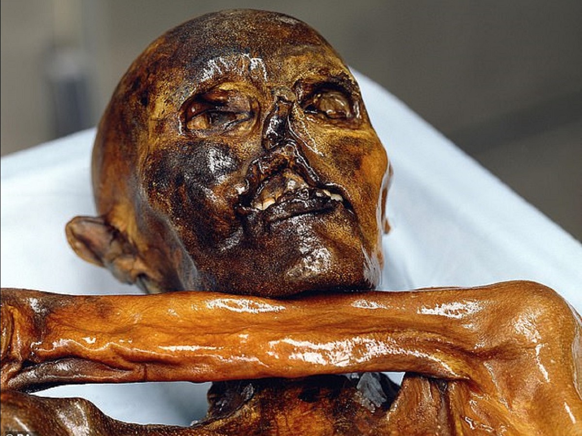謎多き古代ミイラ アイスマン の 本当の正体 がついに判明 5300年前の凶悪事件と死ぬ直前の日々が発覚 ｰトカナ