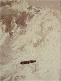 ついに「世界最古のUFO写真」が発見される!! ナイアガラの滝に古典的円盤型UFO、識者絶賛も謎の隠蔽圧力が…！の画像1