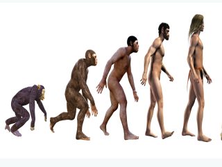 人類進化の空白「ミッシングリンク」が遂に埋まる！二足歩行を始める前の類人猿が判明！