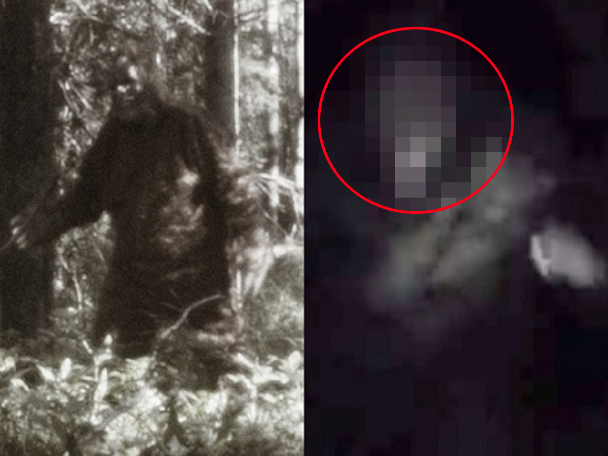 ビッグフットがカメラの前を横切る映像 本物の可能性が高いと評判 少年絶叫 パターソンフィルム越えか
