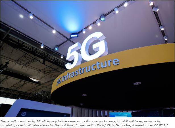 「5Gは結局のところがんを引き起こす」遂に権威ある科学雑誌が論文掲載! 日本に動きなし!の画像1