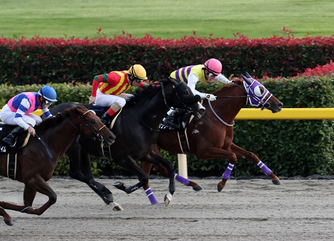 【必見】JRA阪神JF(G1)リアアメリアが危ない! ヤバすぎる内部情報流出、超高額馬券を当てまくる謎の会議の正体は!?の画像2