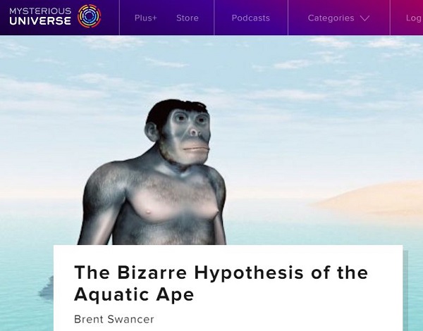 ヒトの祖先はサルではなくカッパか人魚だった!? 「水生類人猿説」の圧倒的説得力の画像1