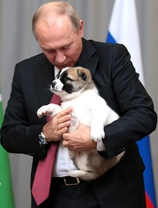 プーチンが「アヌンナキを嗅ぎ分ける犬」の育成完了！ 2020年に悪徳宇宙人を撲滅へ…トルコも関与の画像1