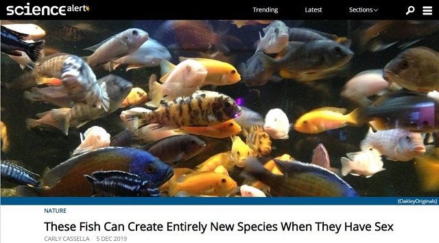 セックスをすると全く別の種を生み出すハイブリッド製造魚が発見される! 水面下の乱交、その実態!の画像1