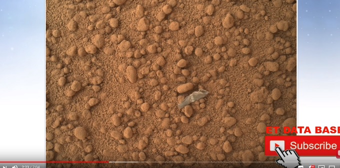 ついに火星で「蝶々の繭」が発見される！ 明らかに異質な画像…「火星に進んだ生物が存在」大学教授も断言の画像1
