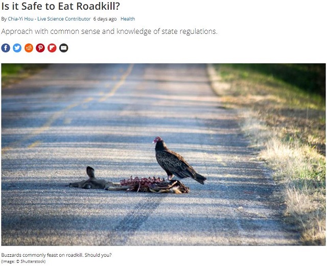 車に轢かれて死んだ動物の肉は食用になるのか?屍のジビエ化は可能か検証の画像1