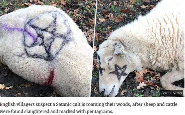 五芒星が刻まれた 羊の刺殺体が続々発見される異常事態 カルト儀式か 悪魔崇拝か 住民戦慄 単純なイタズラではない 英