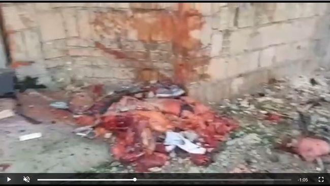 【閲覧注意】イランの旅客機撃墜直後の現場映像が流出! 肉片・鉄屑・瓦礫の超壮絶ミックス… 直視できないほど悲惨!の画像3