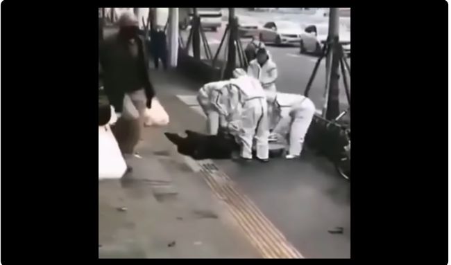 【閲覧注意】新型肺炎に侵された中国・武漢の悪夢すぎる現状! 倒れる患者、転がる死体、封鎖の街… ハンパない終末感、次は日本か!?の画像1