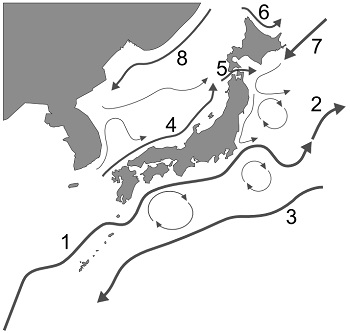 ついに首都直下地震「発生の法則」を発見!! オリンピックに直撃、11・12月に南海トラフも連発 → 日本滅亡か!?の画像3