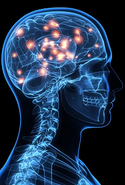 「死後も意識は残り、死を感じ、無限の意識に溶け込む」米教授が断言! 死の本質と至高のプロセスとは!?の画像2