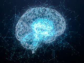 脳に「意識のエンジン」があることが米大学研究で新判明！ 電気刺激で覚醒する“極小部位”とは!?
