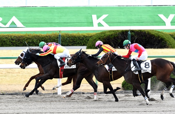オリンピックイヤーと競馬の意外な関係が発覚! JRAフェブラリーステークス(G1)で歴史は繰り返すのか!?の画像3
