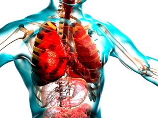 「肺にはがん細胞を取り除く不思議な能力がある」大学研究で判明！ 肺の潜在能力がヤバイ…禁煙の効果も！