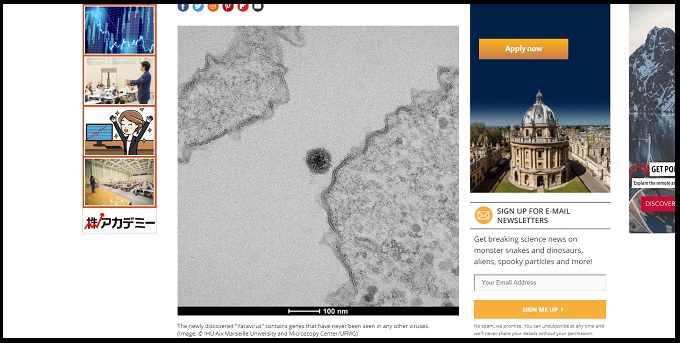 既存のものと90%異なる「完全に未知のウイルス」が発見される! 既にアメーバに感染「ヤラ・ウイルス」とは!?の画像2