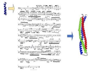 タンパク質に「音楽」が存在していることが判明！ 1分30秒の名曲が…MIT研究！