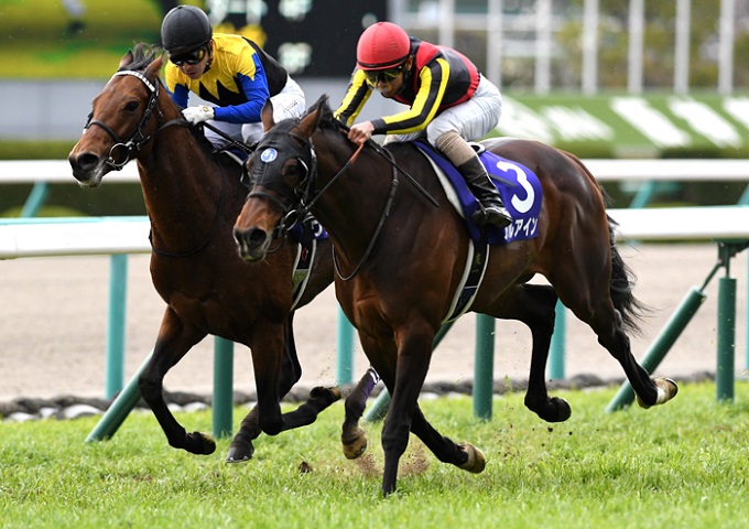 競馬マスコミが知らないJRA大阪杯(G1)の激ウラ情報でボロ儲けする絶好のチャンス!?の画像2