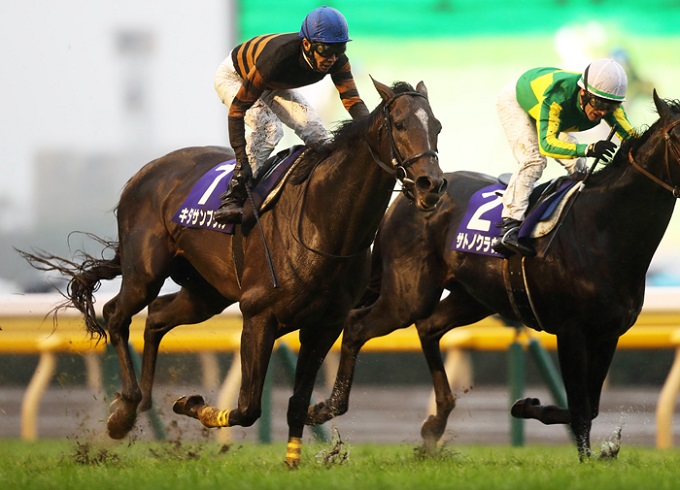 【JRAスプリングS】年間350本万馬券的中! 最強の馬券師集団が、予想買い目を緊急無料公開!の画像2