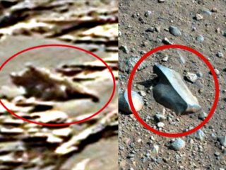6本足の「火星トカゲ」が火星で発見される！ 「火星人のペットか…」墜落した航空機の痕跡も発見！