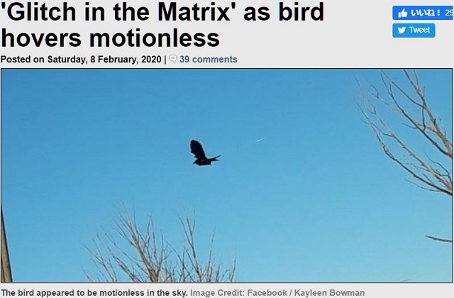 空中で完全凍結したカラスの衝撃映像! 青空の真ん中でピタッ… 異様すぎる光景は「空間のエラー」か!?の画像1
