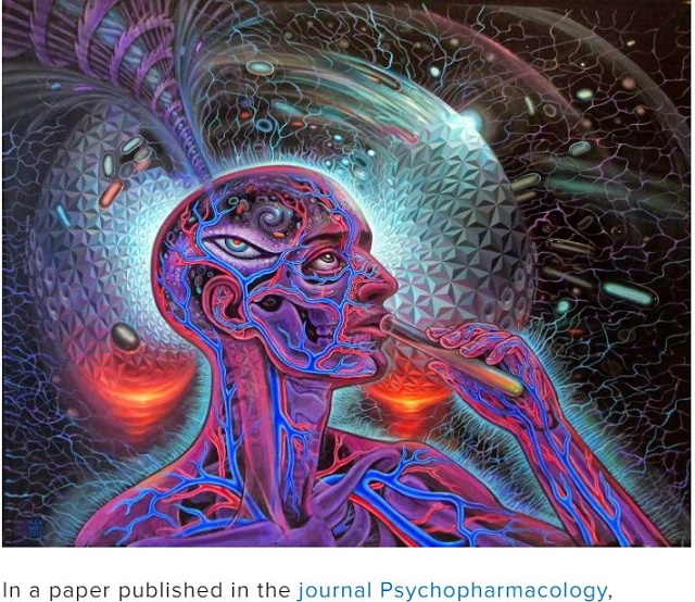 幻覚剤のプラセボでまじでキマる! エンタメ分野に応用も… サイケトリップに違法薬物は不要!?(最新研究)の画像2