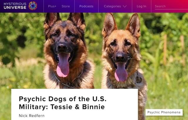 すべての犬は超能力を持っていると判明! 米軍のサイキックドッグも実在…「超心理学の父」ライン博士のESP極秘実験とは?の画像2