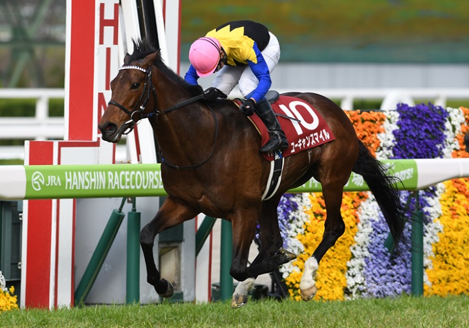 【極秘情報】新型コロナで競馬界にヤバすぎる異変! JRA天皇賞・春(G1)でマスコミが知らない実態判明、ボロ儲けする人続出か!?の画像2
