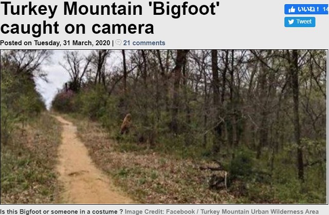 ついにビッグフットが至近距離から撃撮される! 米自然公園で報告数十件、新型コロナとの驚くべき関係が判明!の画像2