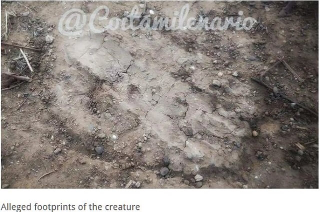 狼男「ナワル」がメキシコの街を闊歩、目撃者多数! ライフル銃も効かず、猛烈な腐臭… コロナ禍と繋がりも!?の画像3