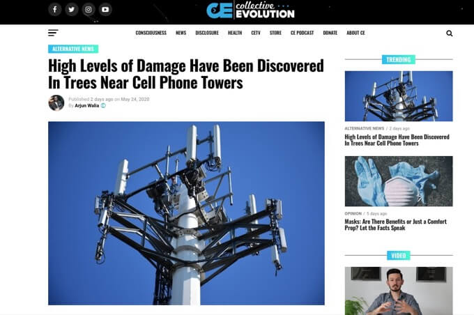 【5G】携帯の電波塔近くの木に異変!「樹木が損傷してる」科学誌が発表、人体だけじゃない電磁波の健康・環境リスク!の画像1