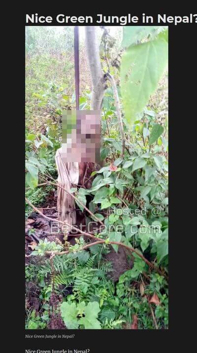 【閲覧注意】ドロドロに溶けた首吊り腐乱死体がヤバすぎる! 寂しく朽ち果て、顔面の穴から何かが漏れて… 自殺大国のリアルの画像1