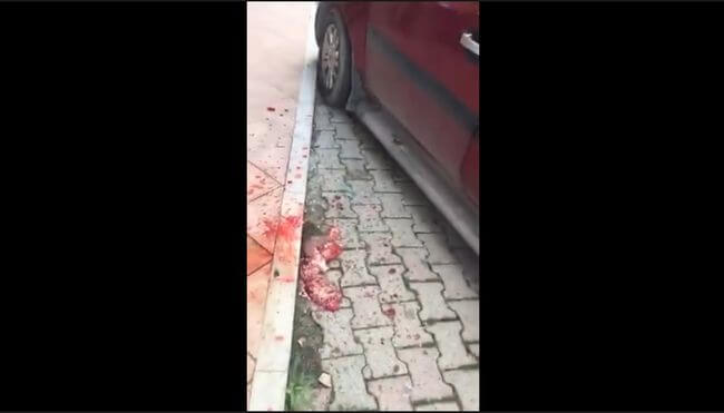 【閲覧注意】頭をショットガンで撃ち抜かれた男! 脳がすっ飛び… 土地紛争をめぐる骨肉の争い=トルコの画像2