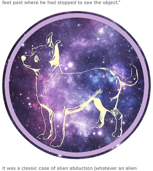 「UFOに乗った犬」と出会った警官のヤバすぎる体験談! 幻覚ビジョン、空白の時間、記憶喪失… 超絶パラノーマル現象!の画像2