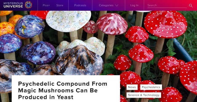 幻覚キノコの成分はイースト菌から作れると判明! ドラッグがパン1個の値段に!?の画像1