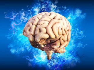 脳を「25歳若返らせる」最強のアンチエイジング法を科学者が発見！ たった8週間で脳に構造的変化…ストレスも激減！