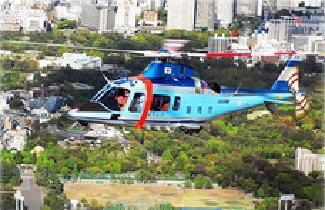 【独占】緊急事態宣言の直前「卵型UFO」が東京都心に出現、画像入手! 警視庁ヘリ発動の事実も判明、日本政府は事実隠蔽か!?の画像5