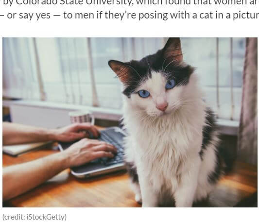 猫を飼っている男性は超絶モテないことが判明！猫との写真は好感度が急激に低下！の画像2