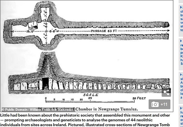 古代アイルランド王家のヤバすぎる近親相姦の実態判明! 「王が妹と交わり、乙女の魔法が破れ…」学者も興奮!の画像2