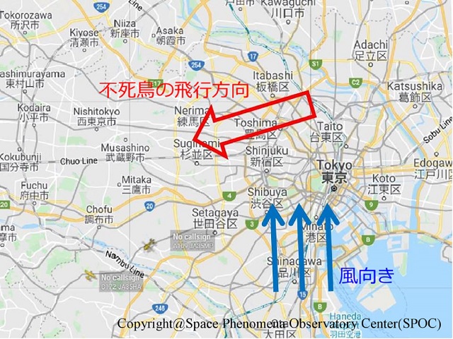 東京上空に超巨大「火の鳥」出現、悠々と飛び去る姿を激撮! クチバシや目までくっきり… 撮影者に幸運連発、最強開運映像を特別公開!の画像6