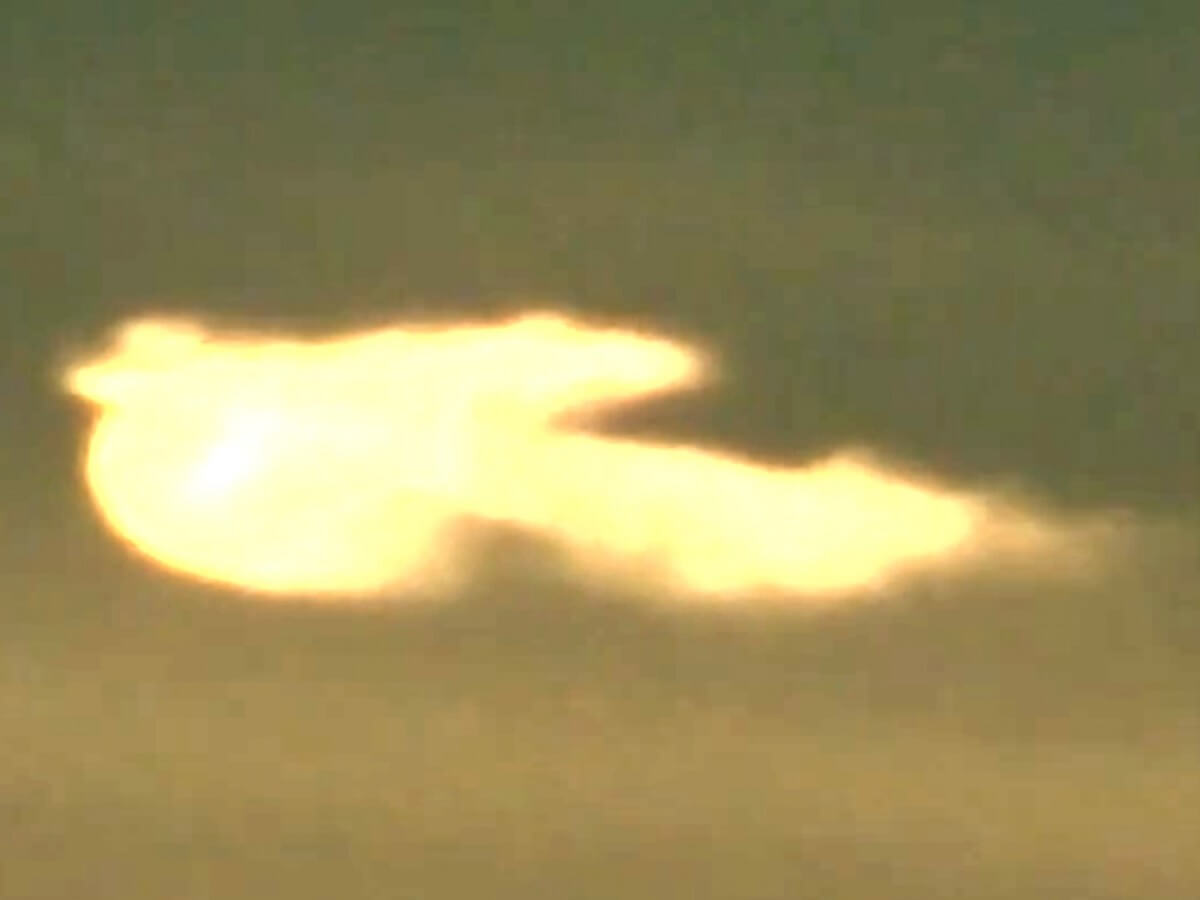 東京上空に超巨大 火の鳥 出現 悠々と飛び去る姿を激撮 クチバシや目までくっきり 撮影者に幸運連発 最強開運映像を特別公開