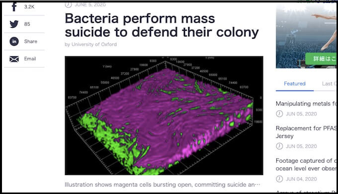 追い詰められたバクテリアは集団自殺をすることが判明！ 「その後、恐ろしいカウンター攻撃が起きる…」学者戦慄！の画像1