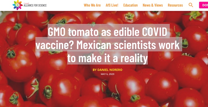 緊急 新型コロナの食用ワクチン 遺伝子組み換えトマト ワクチン の研究開始 安全性を不安視する声 ビル ゲイツ陰謀論は