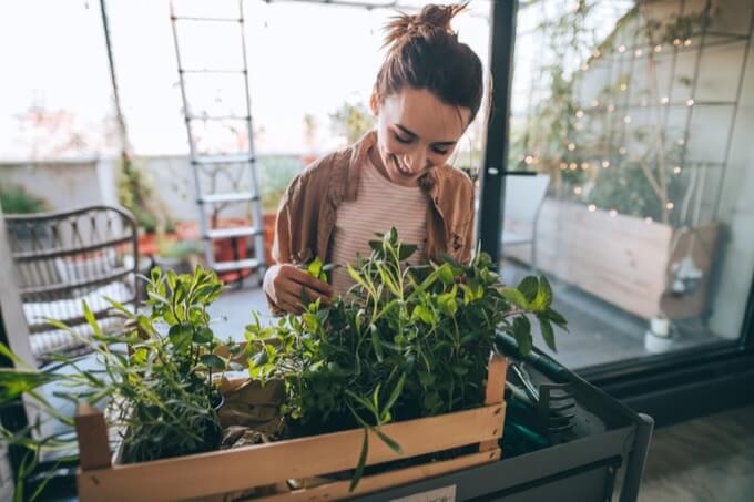 「植物には認知能力がある」最新研究で判明! 数を数える能力も…人間の言葉に応答しているともうすぐ証明!の画像1