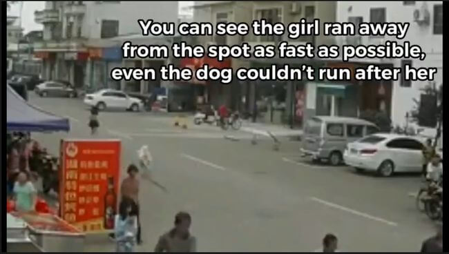 【閲覧注意】走り去っただけの子犬に殺された老婆!! 飼い主の少女の反応がやばい… 監視カメラが捉えた一部始終!=中国の画像7