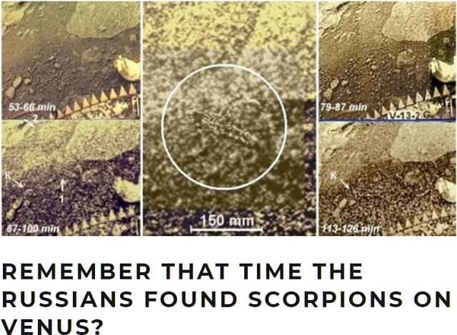 【衝撃】38年前、ソ連の探査機が金星でサソリを発見していたと判明!! ロシア上級科学者が論文発表、しかしNASAの妨害工作で…!の画像2