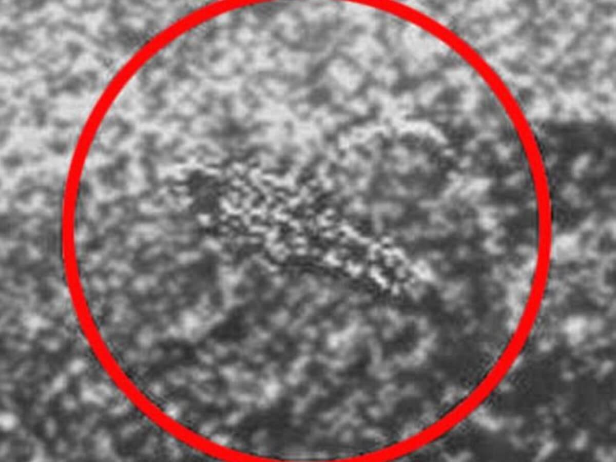 【衝撃】38年前にソ連が「金星で生きたサソリ」を発見していたと判明!!  科学者が証拠写真＆論文発表、だがNASAの妨害で…！
