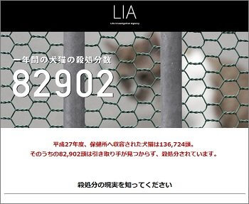 「ペットたちのコロナ禍」無残に遺棄の実態に怒りがこみ上げる! 売れないとポイ… 動物愛護団体が告発!の画像4