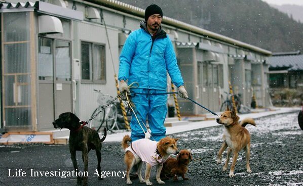「ペットたちのコロナ禍」無残に遺棄の実態に怒りがこみ上げる! 売れないとポイ… 動物愛護団体が告発!の画像2